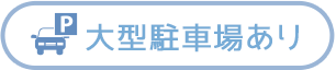 大型駐車場有