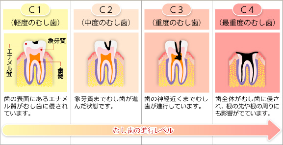 座間市 歯医者 立野台ふじい歯科 診療内容